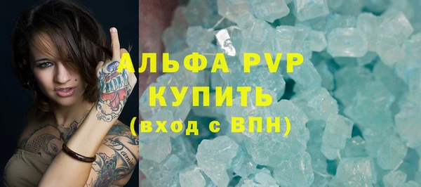 spice Бородино