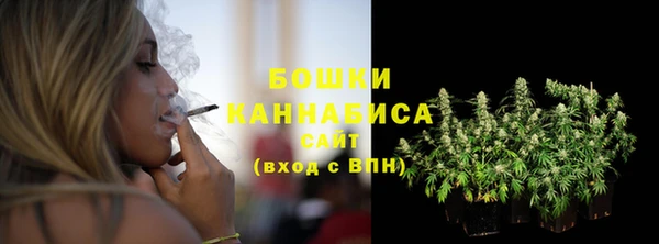 spice Бородино