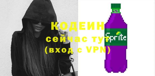 spice Бородино
