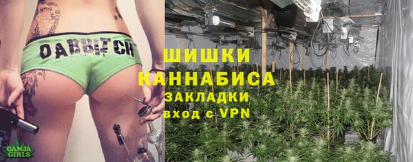 стаф Богородск