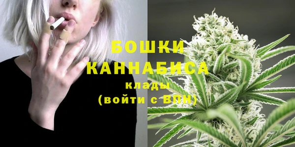 spice Бородино