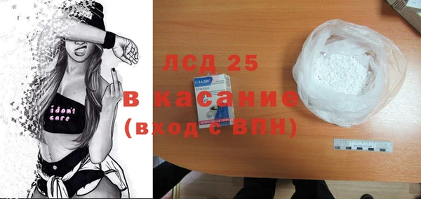 spice Бородино