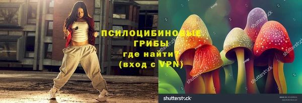 метамфетамин Богданович