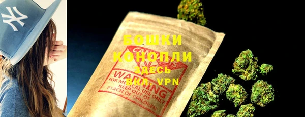 spice Бородино
