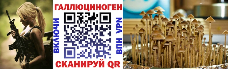 МЕГА ССЫЛКА  что такое   Будённовск  Галлюциногенные грибы Psilocybine cubensis 