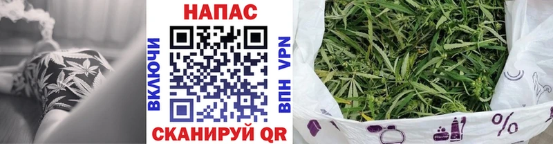 Бошки Шишки план  KRAKEN как войти  Будённовск 